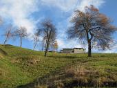 07 Cascinale